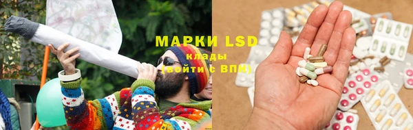 ешки Белокуриха