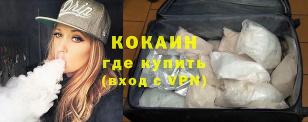 прущие грибы Пролетарск