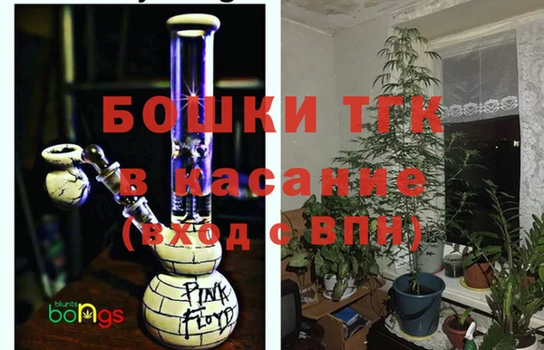 ешки Белокуриха